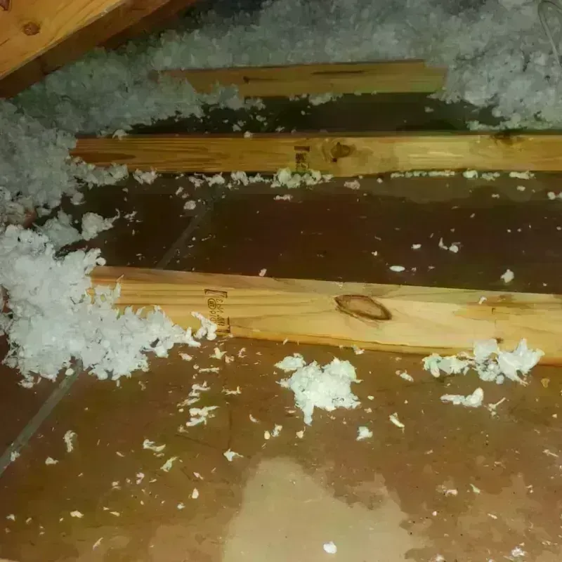 Attic Water Damage in Texico, NM